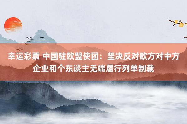 幸运彩票 中国驻欧盟使团：坚决反对欧方对中方企业和个东谈主无端履行列单制裁