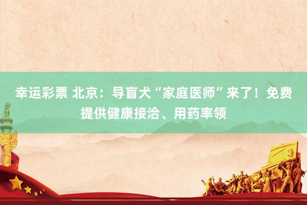 幸运彩票 北京：导盲犬“家庭医师”来了！免费提供健康接洽、用药率领