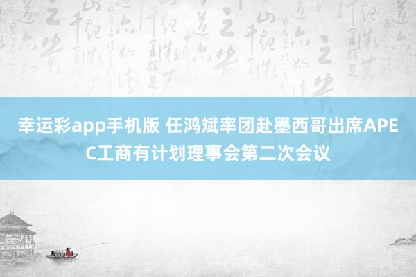 幸运彩app手机版 任鸿斌率团赴墨西哥出席APEC工商有计划理事会第二次会议